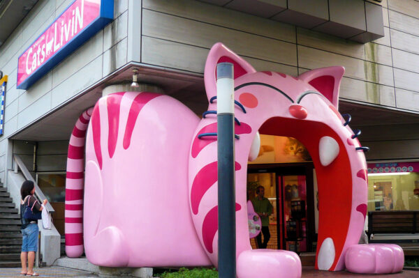 Odaiba Shopping 10 Shops Malls You Should Buy From