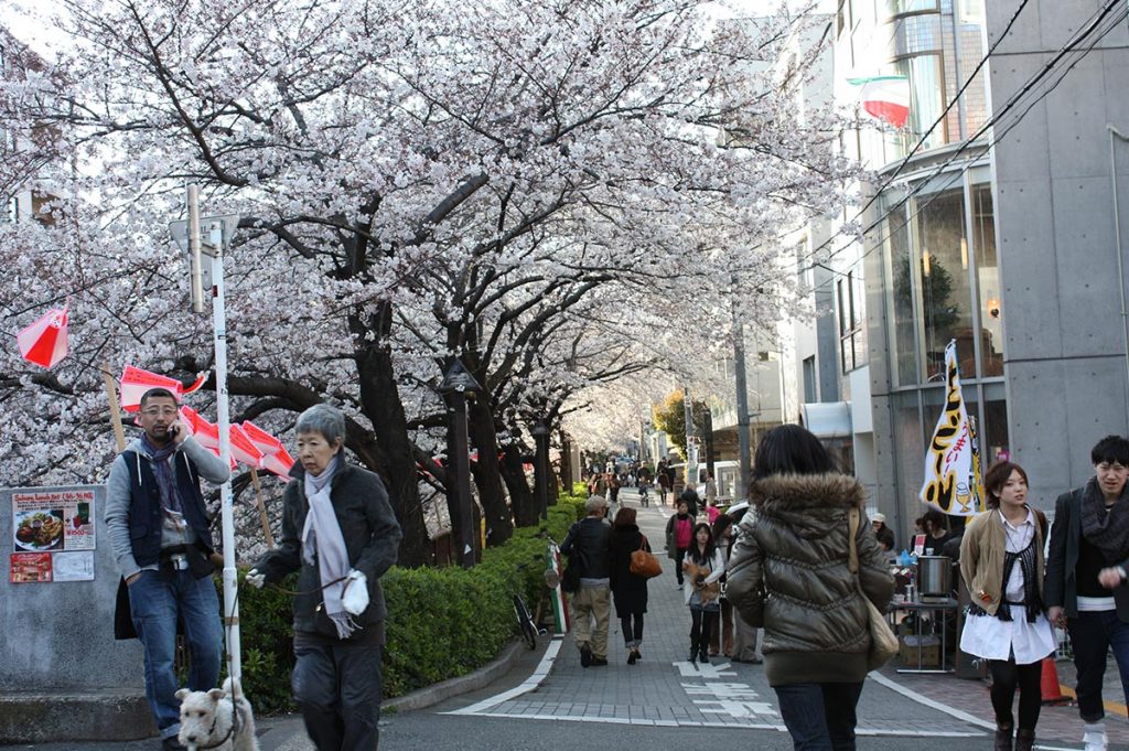 Shopping in Tokyo Nakameguro