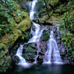 Yakushima Island Waterfall