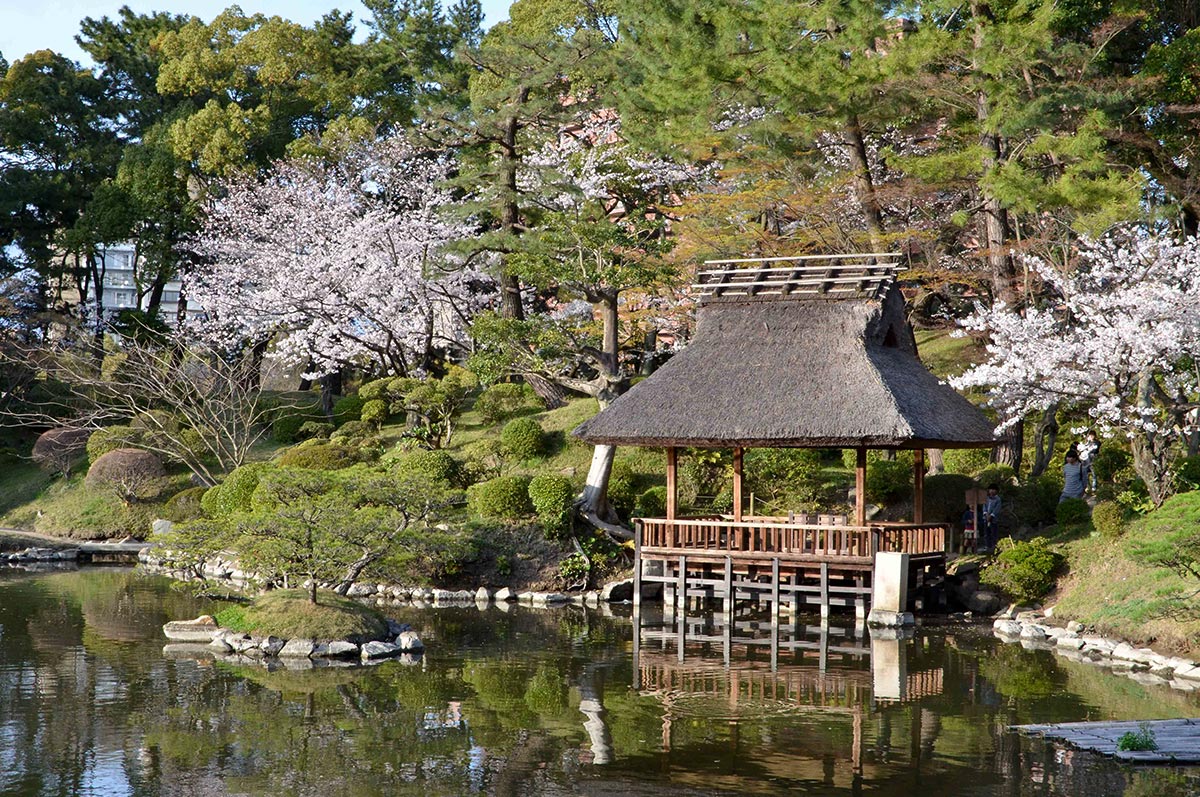 Things to do in Hiroshima Shukkeien Garden sakura