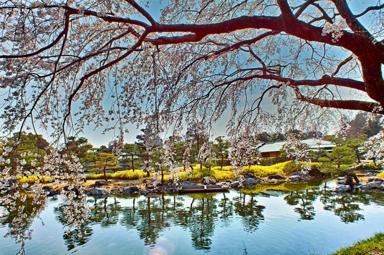 Discover Our Selection Of The Top 10 Things To Do in Nagoya