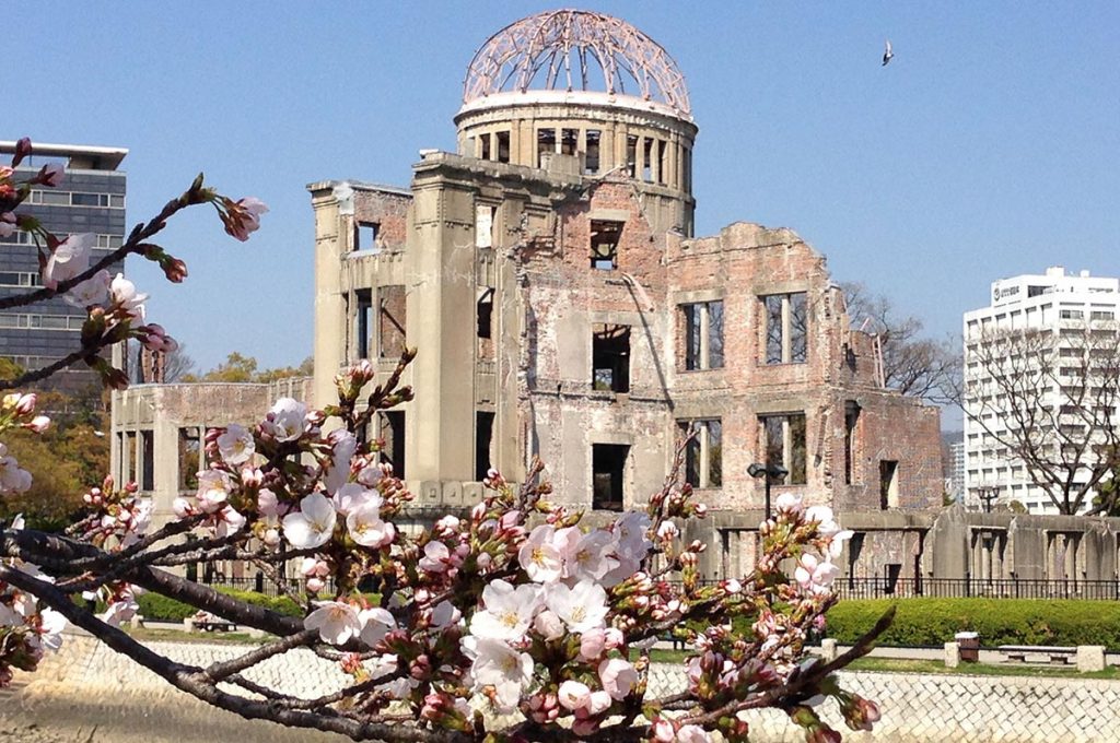 Cherry Blossom Festival Japan Hiroshima Peace Park