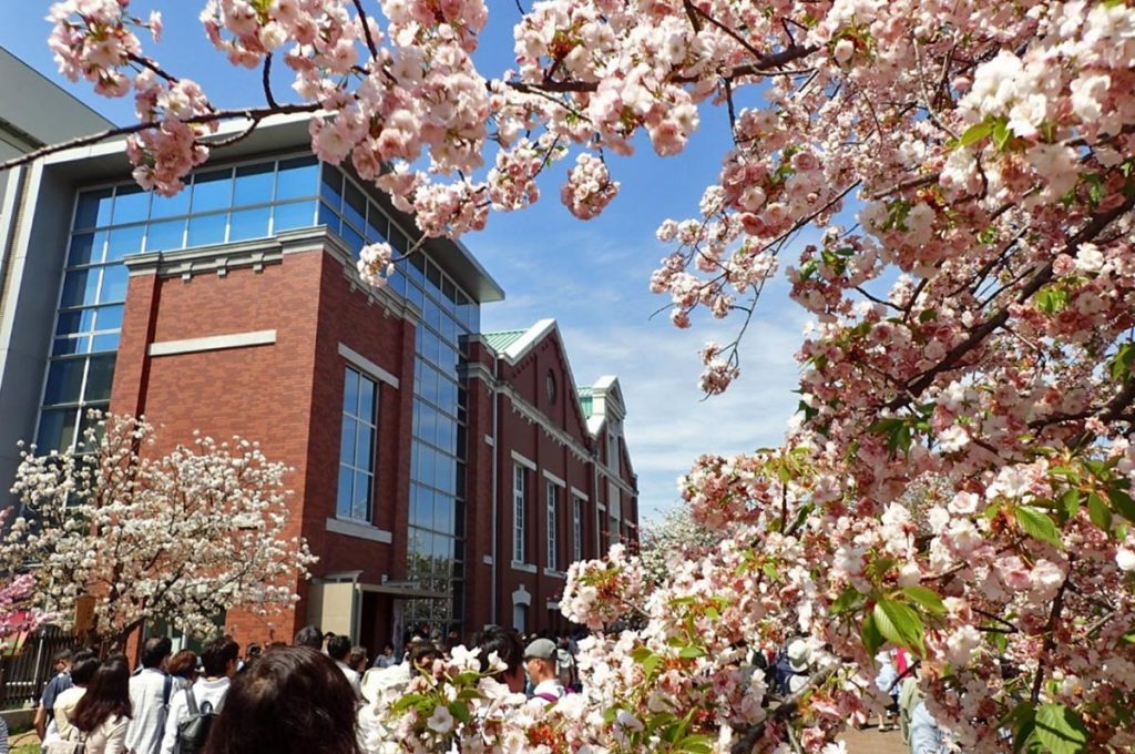 Cherry Blossom Festival Japan Mint Museum