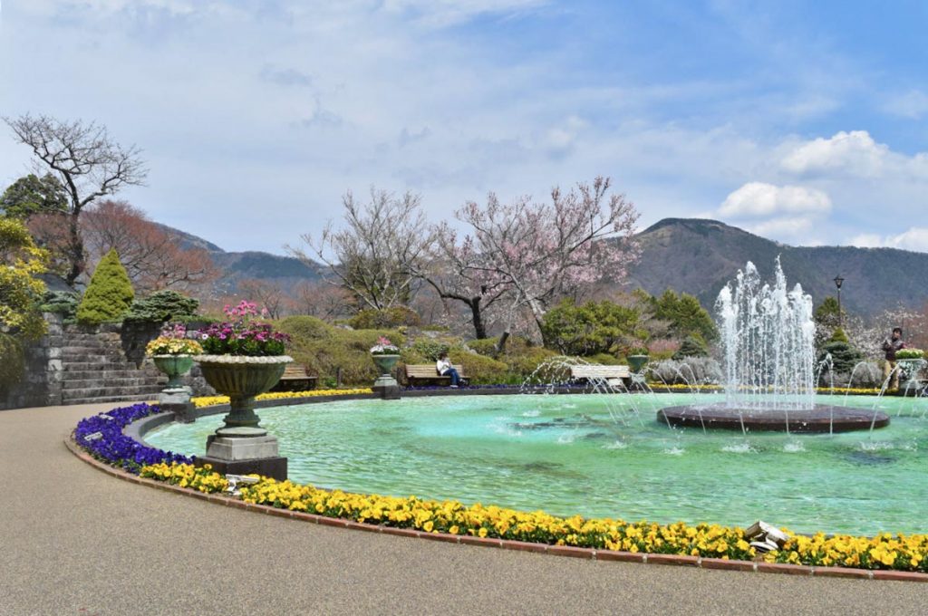 Cherry Blossom Festival Japan Gora Park