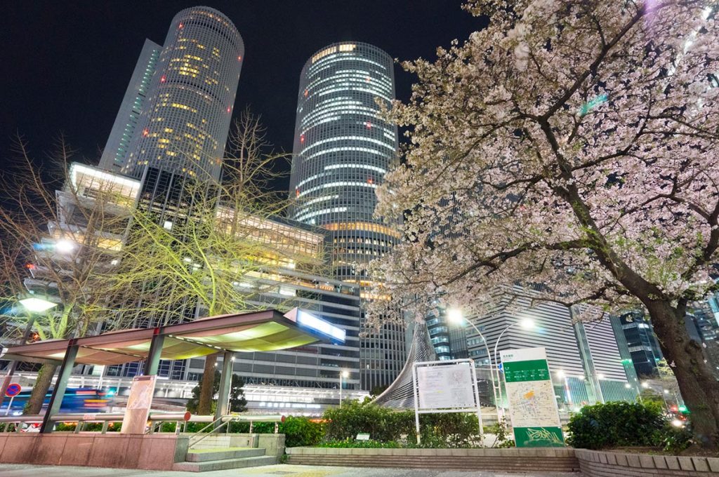 Cherry Blossom Festival Japan Nagoya