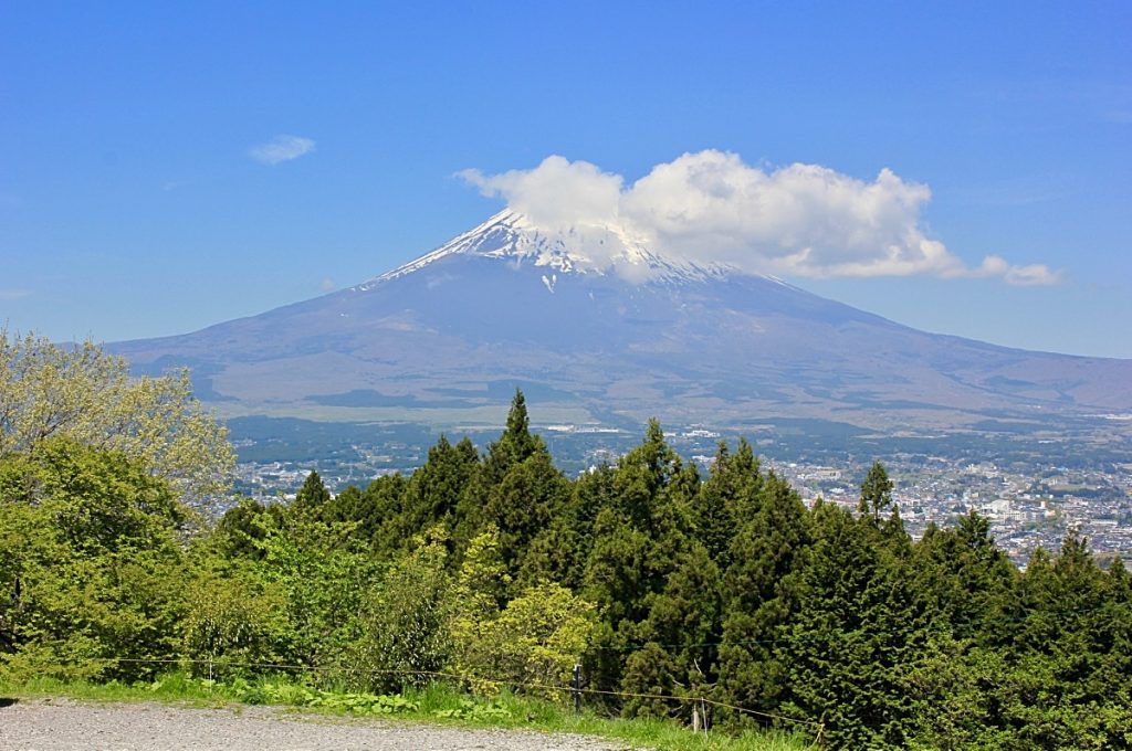 Climbing Mt Fuji Trees before Mountain