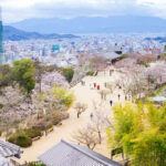 Matsuyama City Japan