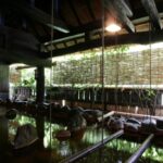 Okyakuya Ryokan Onsen