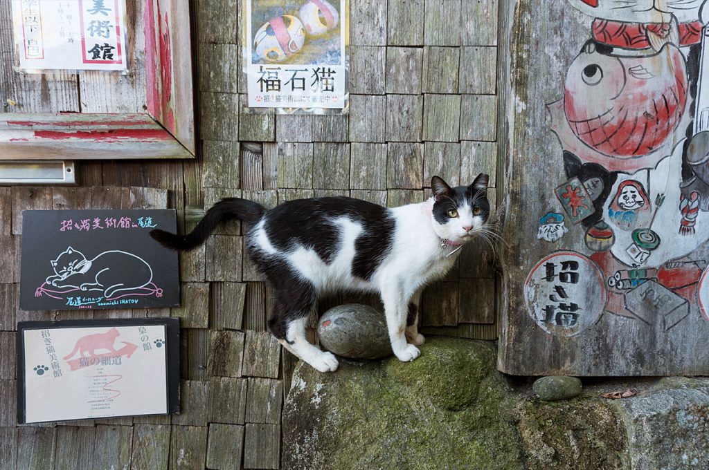 Onomichi Japan Neko no Hosomichi