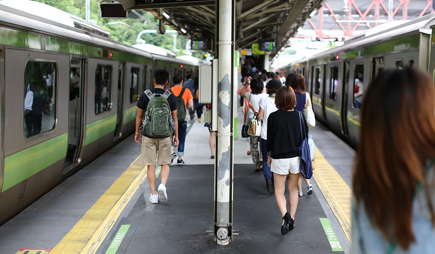 Day Trip Tokyo Train