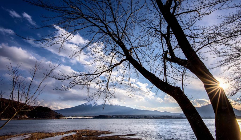 Day Trip Tokyo Lake Kawaguchi