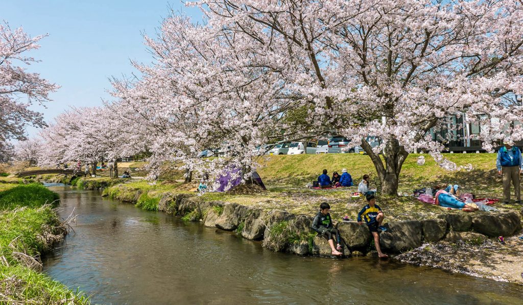 kumamoto travel Akizugawa Kasen Park