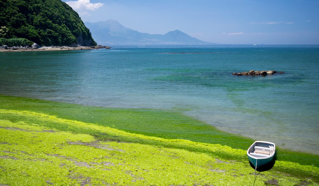 kumamoto travel Shirato Beach