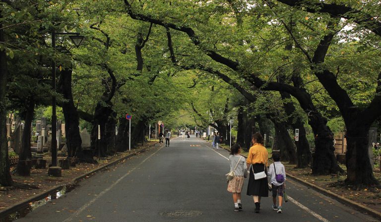 Yanesen, a Guide to Old Town Tokyo - Your Japan