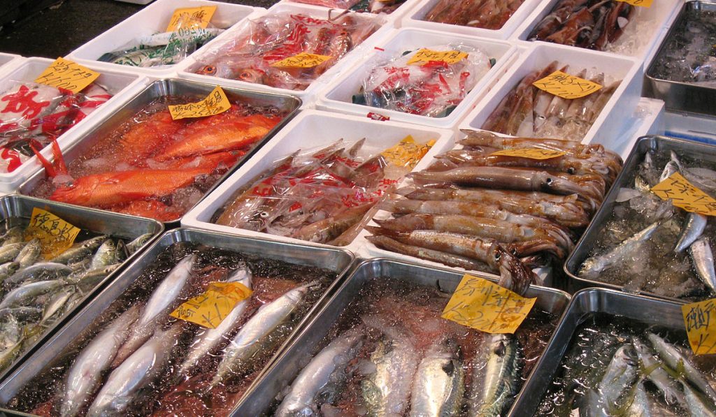 Things to do in Tokyo for free 8 Tsukiji Market