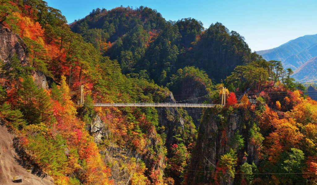 autumn leaves japan Setoaikyo Canyon Nikko Tochigi prefecture