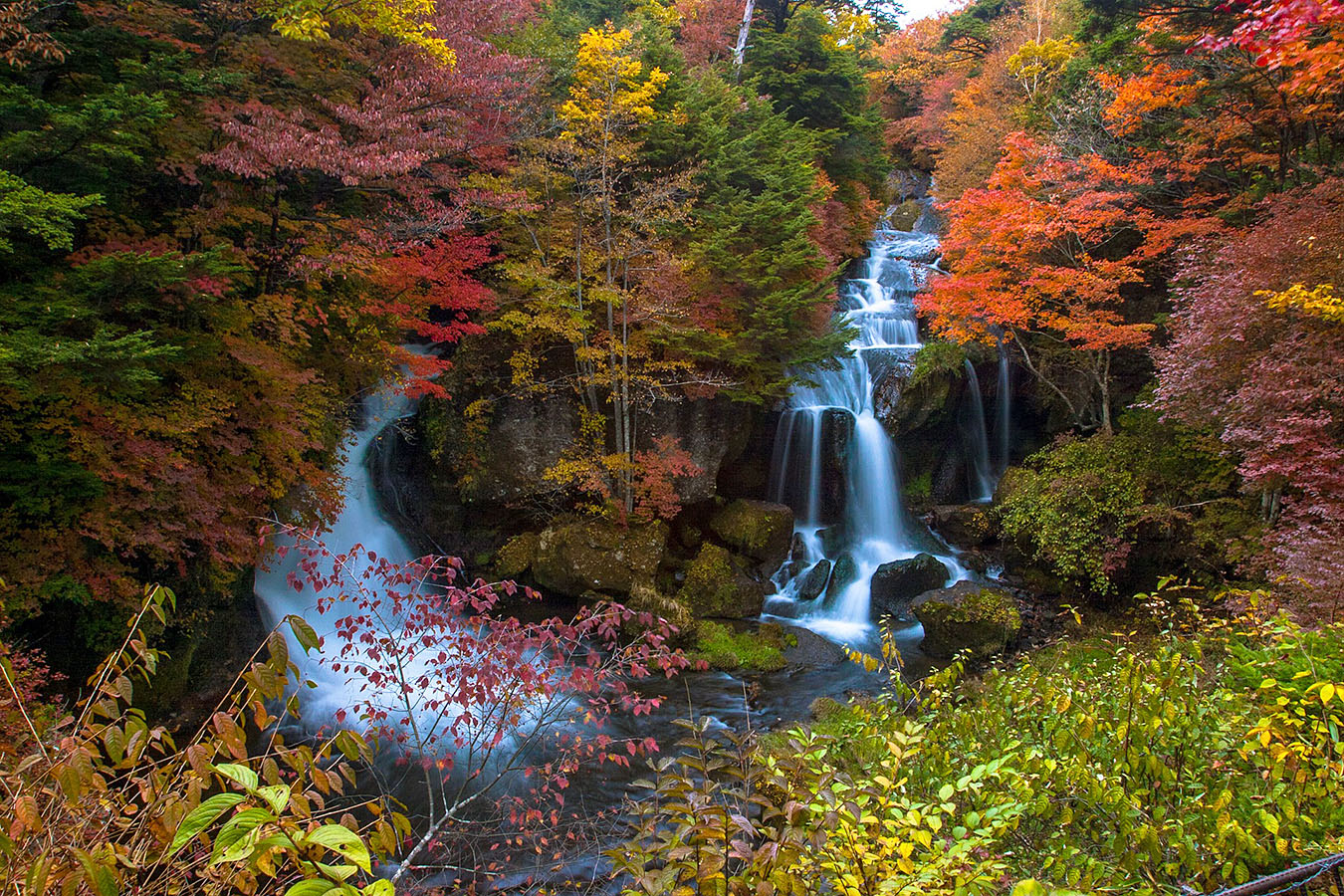 Fall Foliage In Japan
