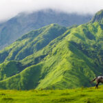 kumamoto travel parallex