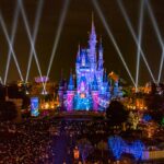 Tokyo Disneyland TipsNight Show