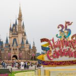 Tokyo Disneyland Tips Castle