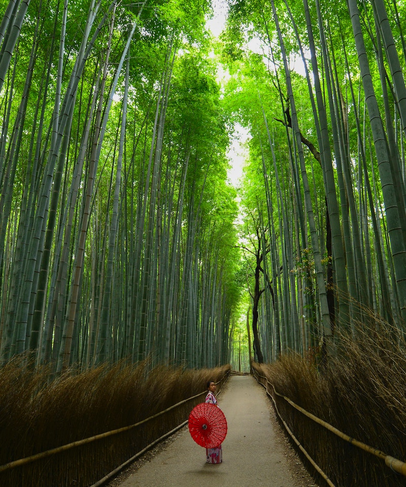 things to do in kyoto