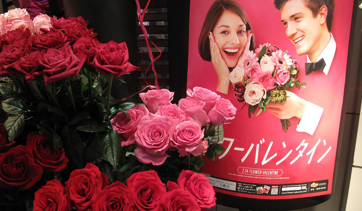 Valentine's day Japan Flower