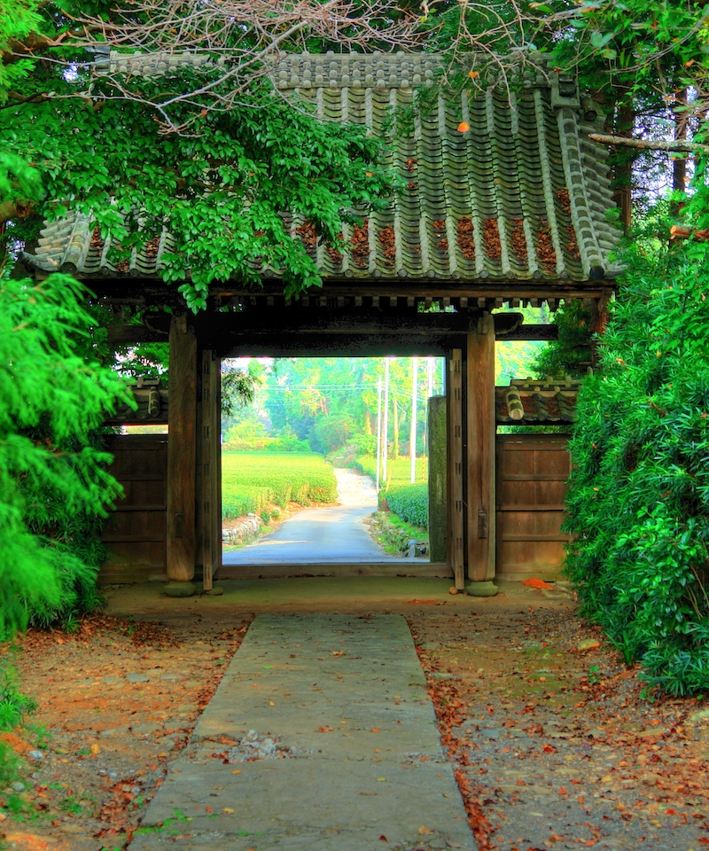 things do in shizuoka