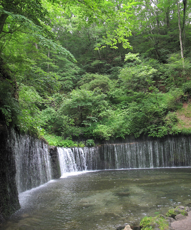 things to do in oita