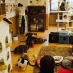 animal cafe tokyo
