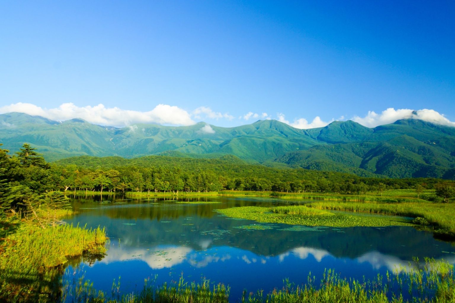 10 Best National Parks To Visit in Japan - Your Japan