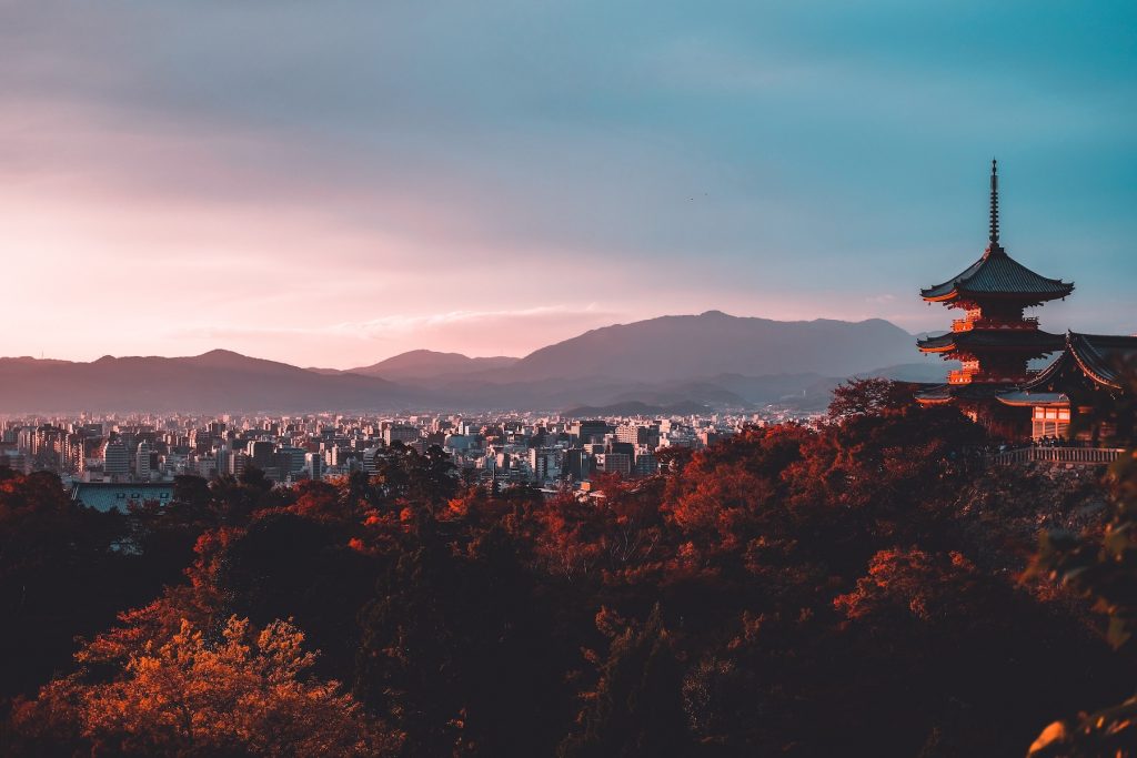 best day trips osaka