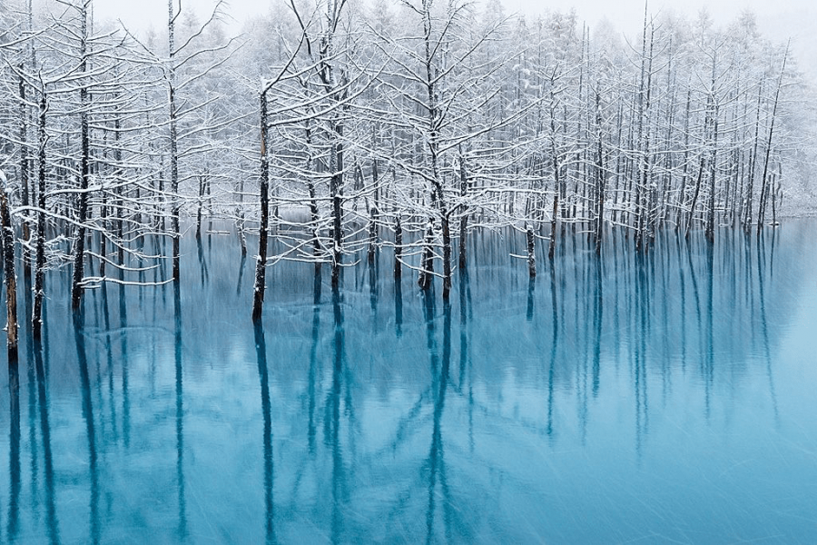 The Best Places to Visit in Japan During Winter - Your Japan