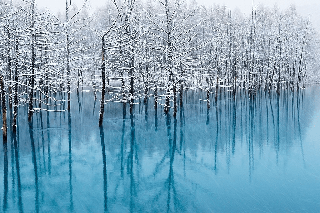 blue pond japan