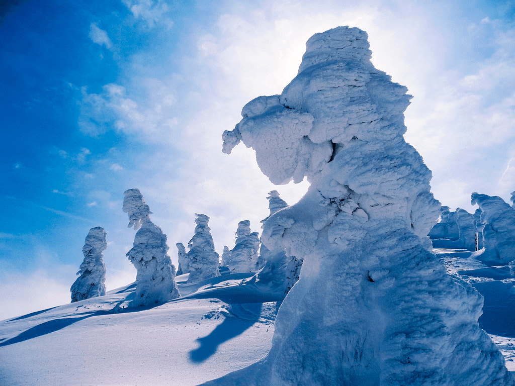 The Best Places to Visit in Japan During Winter4