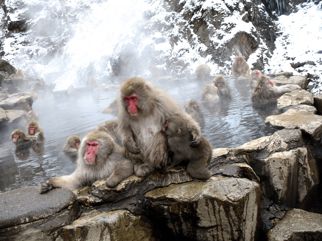 The Best Places to Visit in Japan During Winter9