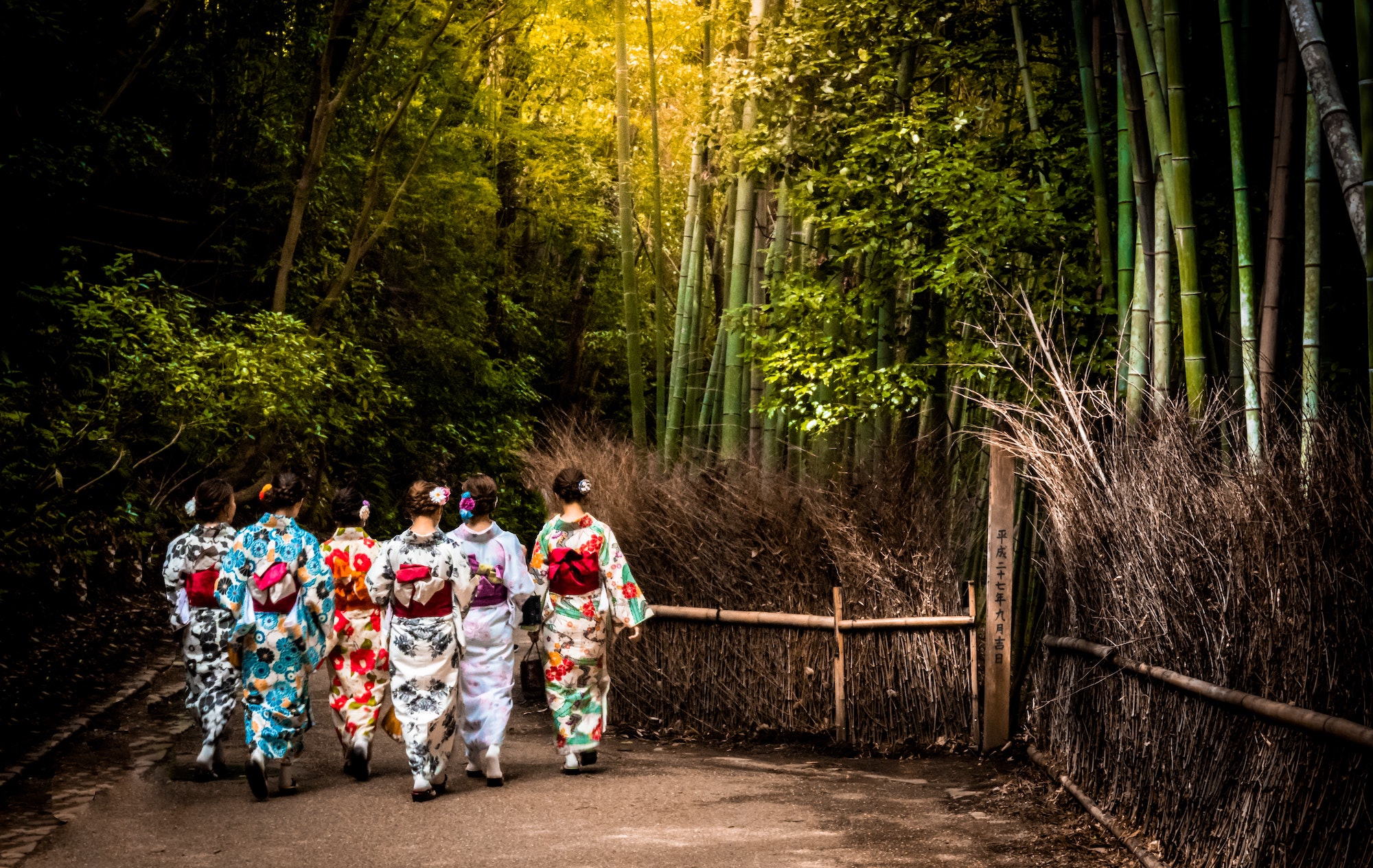 arashiyama bamboo grove