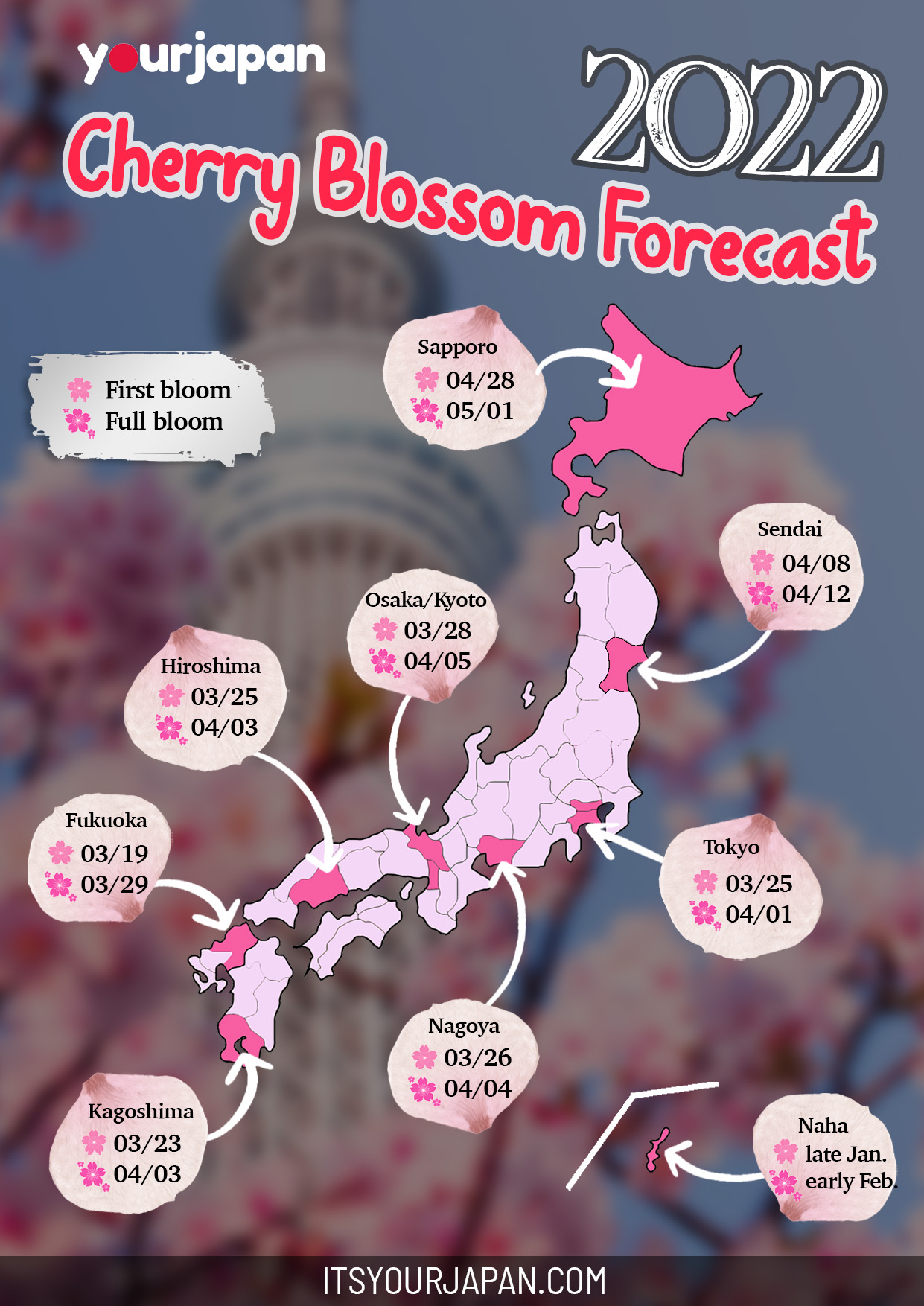 cherry blossom forecast japan 2022