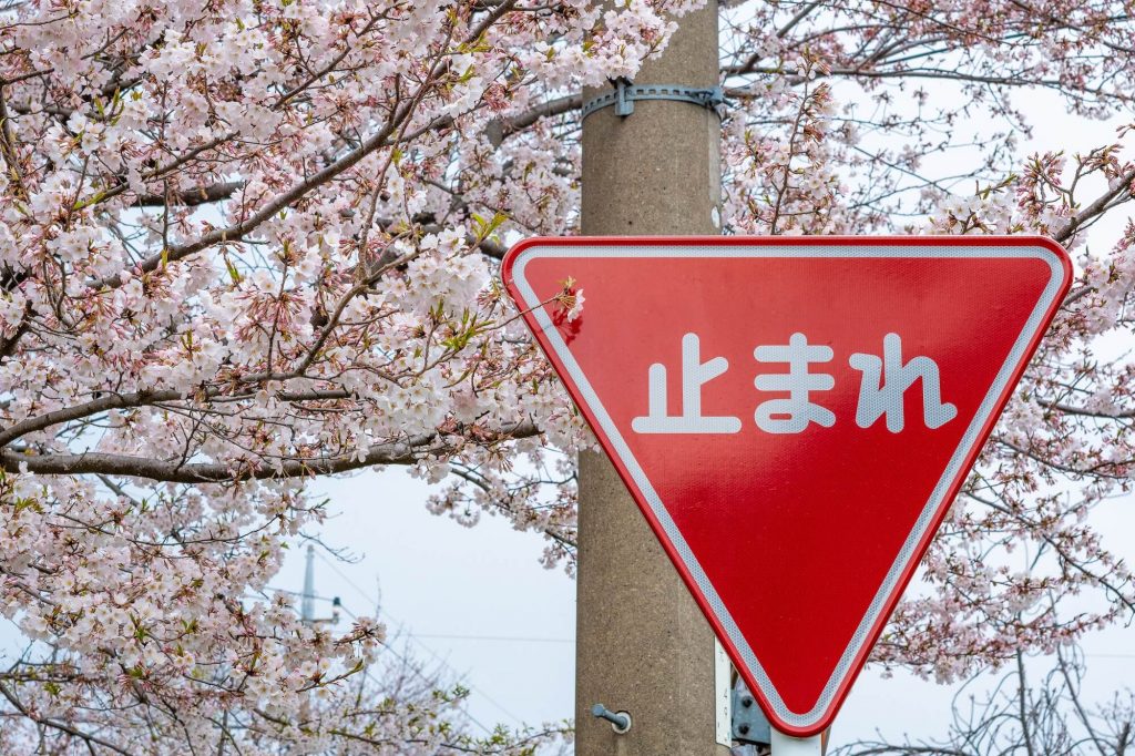 japanese writing systems
