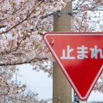 japanese writing systems