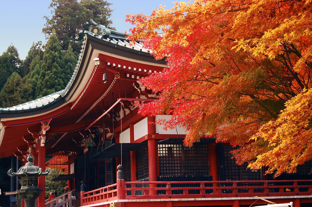 Enryaku-Ji in Autumn