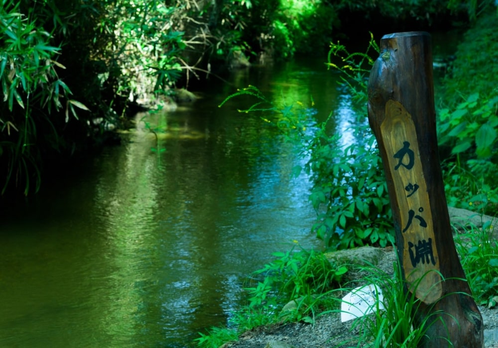 Kappabuchi Pond