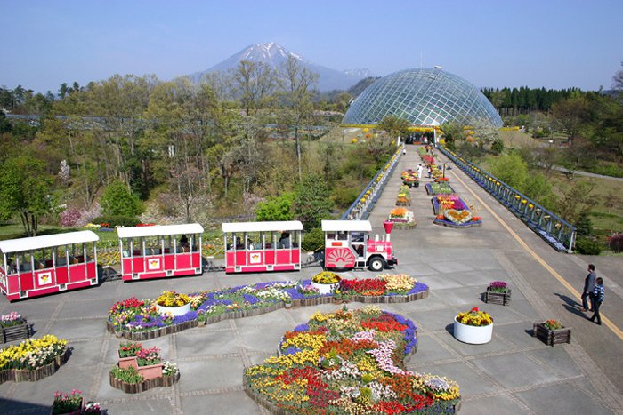 Tottori Hanakairo Flower Park