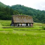 akiya japan abandoned home