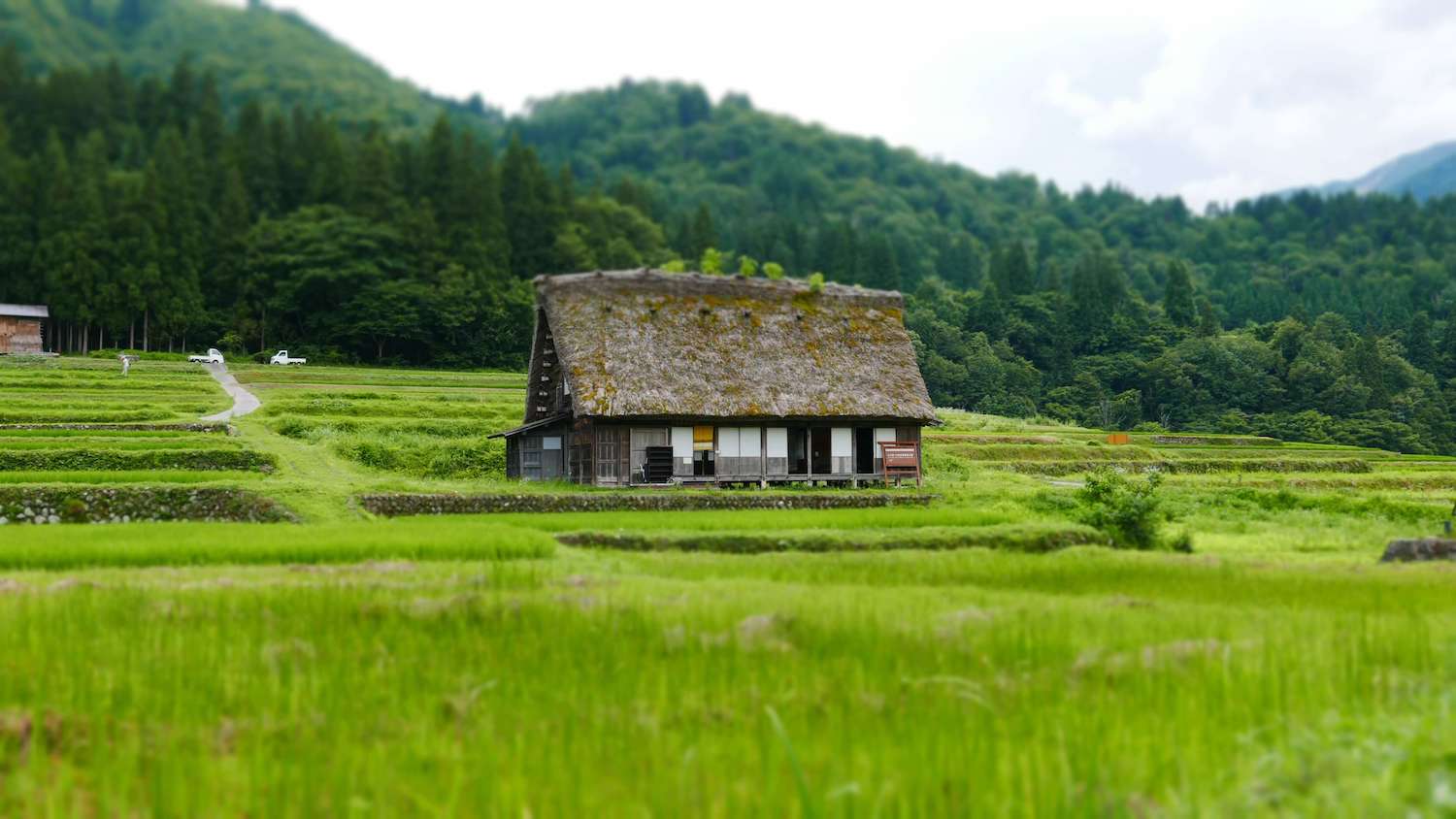 What is it (really) like to buy a Japanese Abandoned Akiya Home