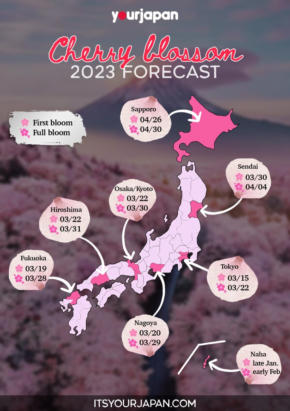 Cherry Blossom 2023 Forecast in Japan (+Map) - Your Japan