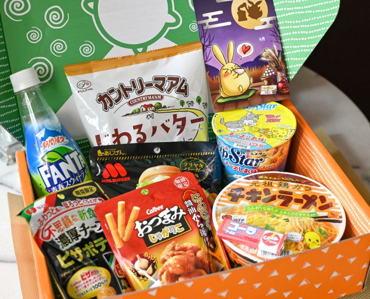 Zenpop ZenPop Subscription Box Review - Your Japan
