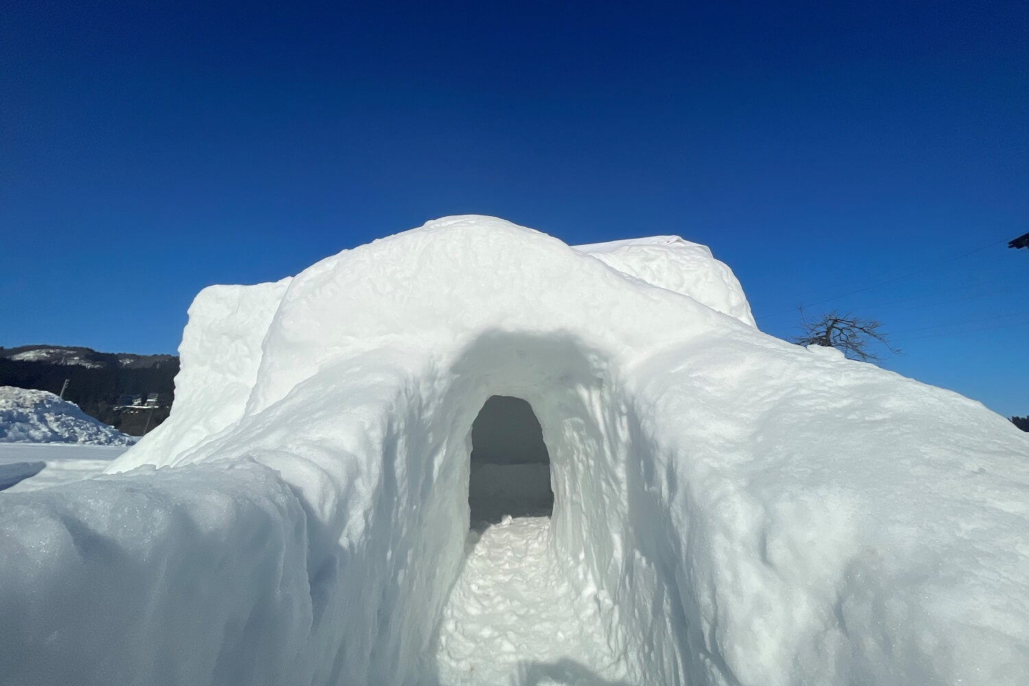 Close-up view of a large kamakura snow hut with a carved entrance, showcasing thick snow walls under a clear blue winter sky.
